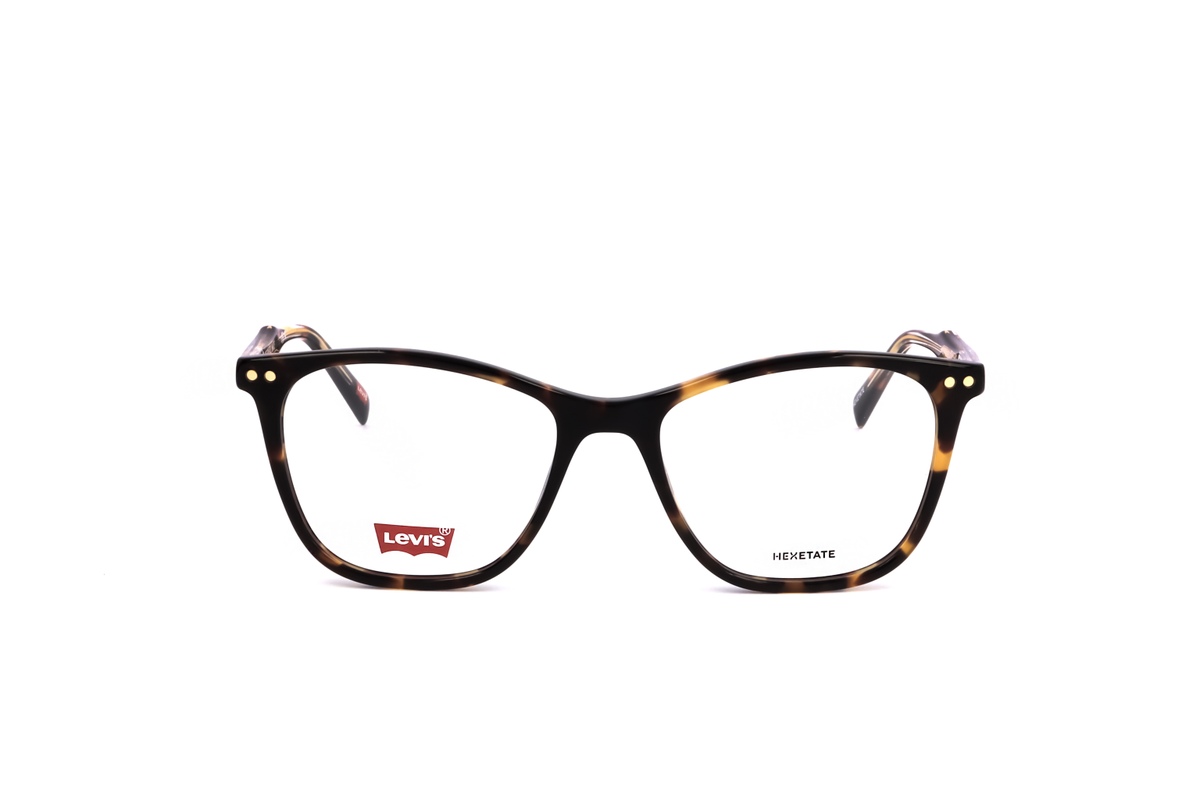 TORTOISE variant main image