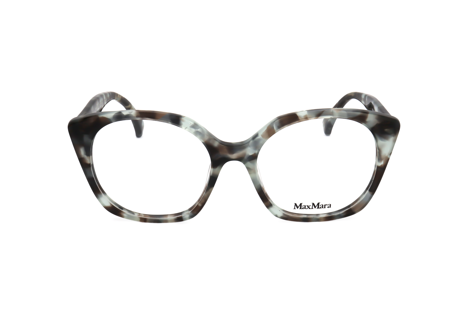 TORTOISE variant main image