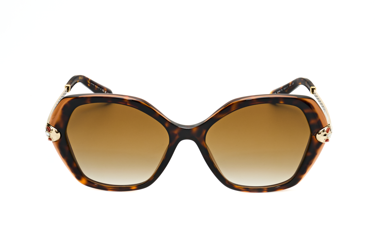 HAVANA ON TRANSPARENT BROWN variant main image