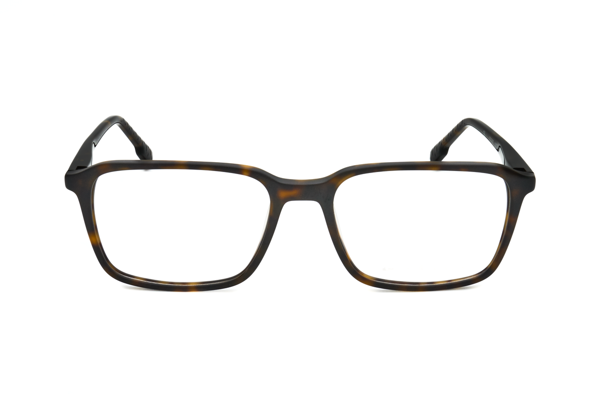 TORTOISE variant main image