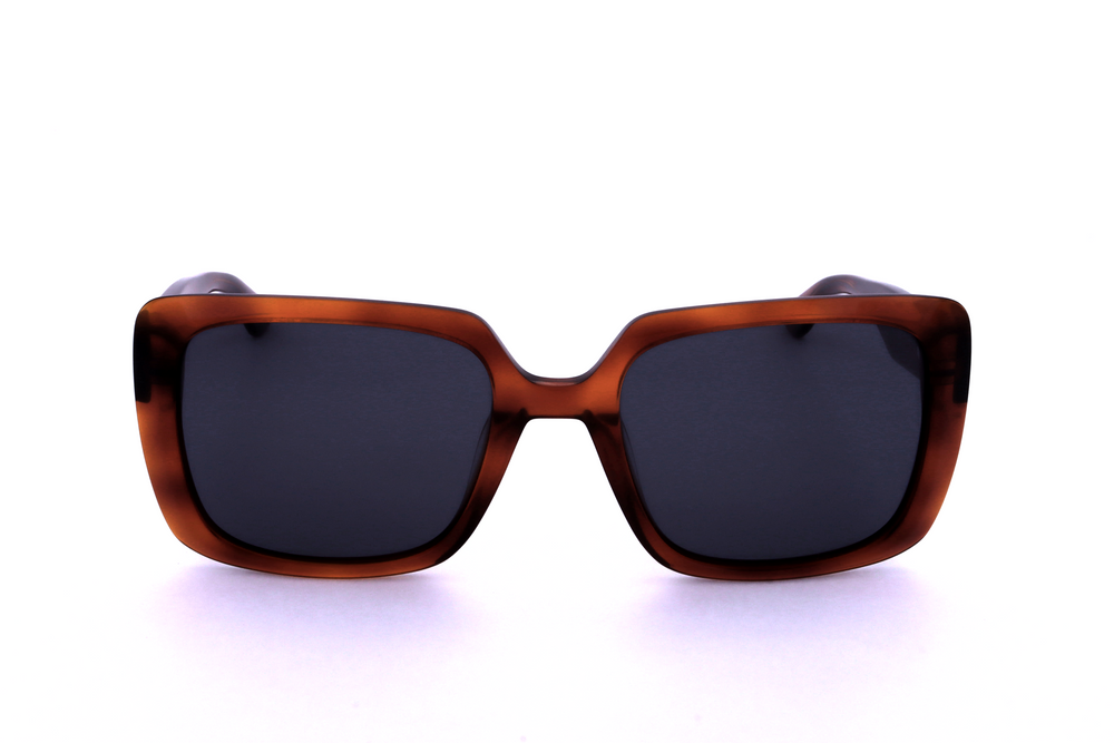 TORTOISE variant main image